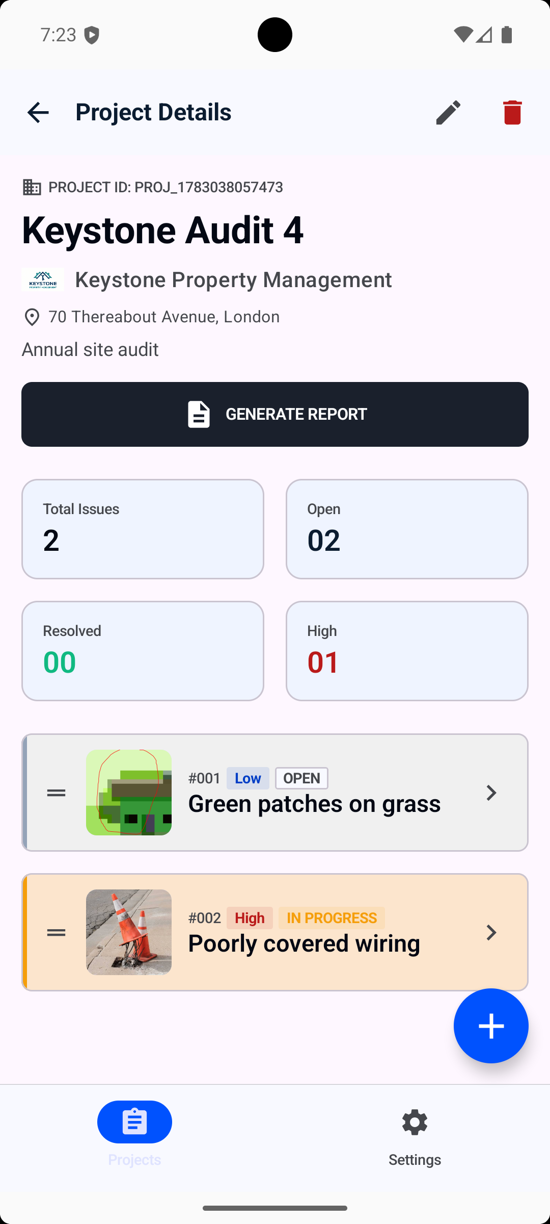 Site Auditor Professional project details screen showing issues and report generation